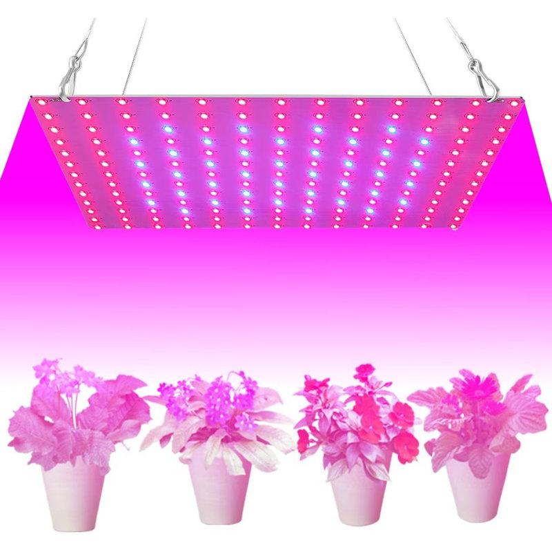 Aptoco Low Voltage Full Spectrum Indoor Plants Grow Lights 256 LED Grow Lights for Indoor Plants Wayfair